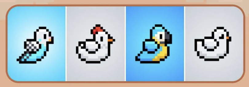 BIRD Daily Combo 21 November 2025