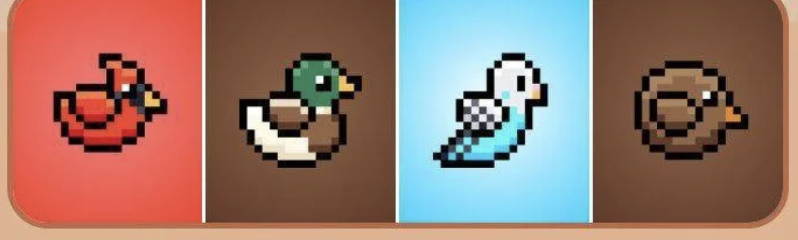 BIRD Daily Combo 21 November 2025