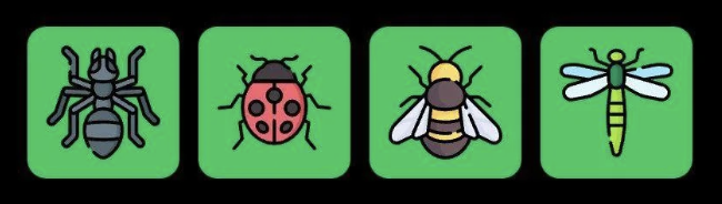 Screenshot 2025-11-21 at 10.32.39 AM FLIES Daily Combo 21 November 2025