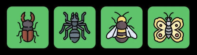 FLIES Daily Combo 24 November 2025