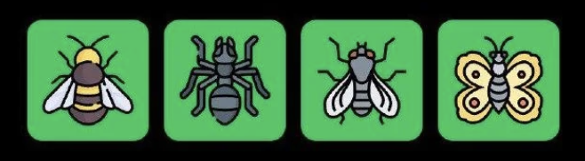 FLIES Daily Combo 27 November 2025