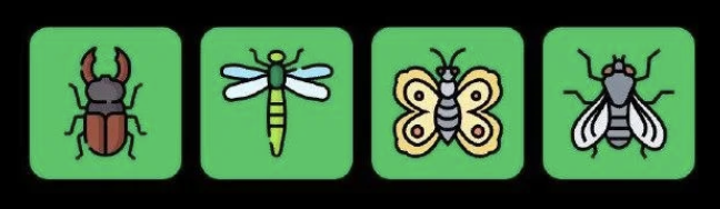 Screenshot 2025-11-28 at 11.09.41 AM FLIES Daily Combo 28 November 2025