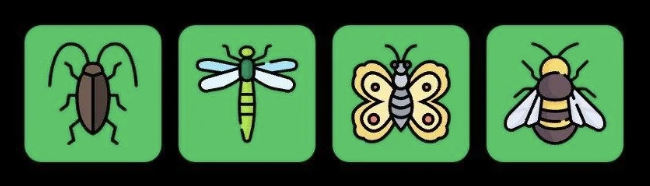 Screenshot 2025-11-29 at 11.18.38 AM FLIES Daily Combo 29 November 2025