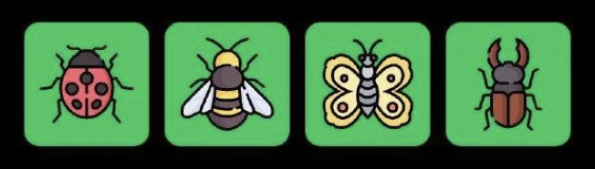 FLIES Daily Combo 30 November 2025