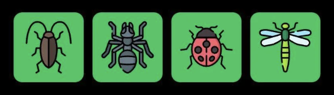 FLIES Daily Combo 1 December 2025