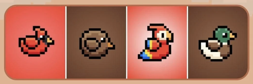 BIRD Daily Combo 2 December 2025