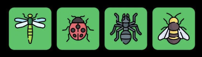 FLIES Daily Combo 2 December 2025