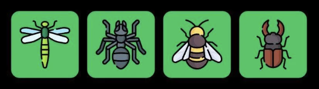 FLIES Daily Combo 3 December 2025