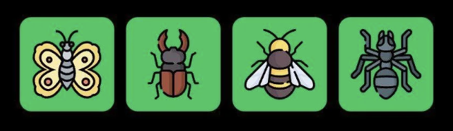 FLIES Daily Combo 5 December 2025