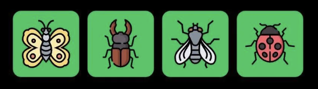 Screenshot 2025-12-06 at 11.33.39 AM FLIES Daily Combo 6 December 2025