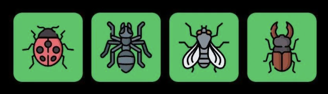 Screenshot 2025-12-07 at 10.27.50 AM FLIES Daily Combo 7 December 2025