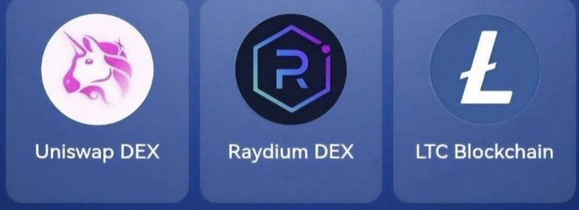 TapCoins Bounty Daily Combo 7 December 2025