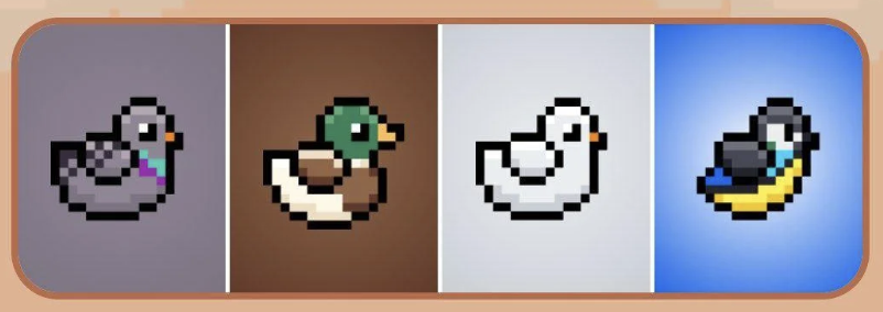 BIRD Daily Combo 8 December 2025