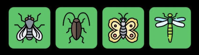 FLIES Daily Combo 8 December 2025