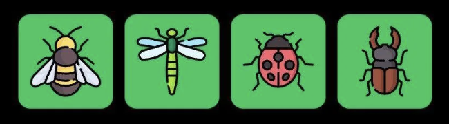 Screenshot 2025-12-09 at 12.34.34 PM FLIES Daily Combo 9 December 2025