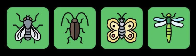 Screenshot 2025-12-11 at 10.26.17 AM FLIES Daily Combo 11 December 2025