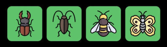 Screenshot 2025-12-13 at 10.28.25 AM FLIES Daily Combo 13 December 2025