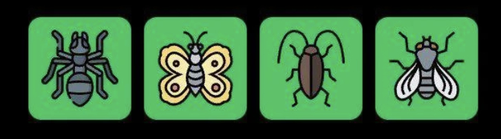 Screenshot 2025-12-15 at 10.16.57 AM FLIES Daily Combo 15 December 2025