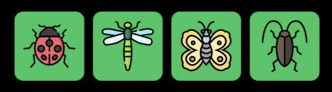 Screenshot 2025-12-16 at 11.08.49 AM FLIES Daily Combo 16 December 2025