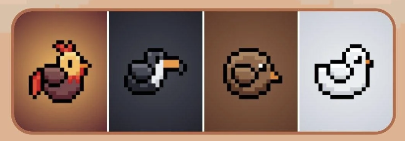 BIRD Daily Combo 17 December 2025