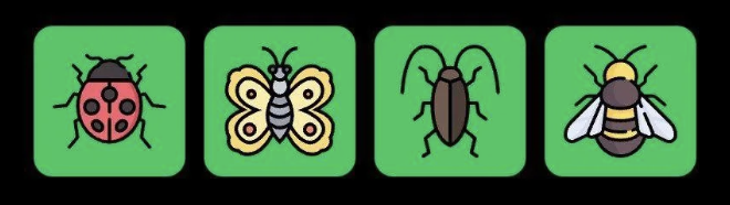 FLIES Daily Combo 17 December 2025