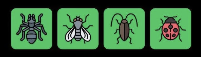 Screenshot 2025-12-18 at 11.27.41 AM FLIES Daily Combo 18 December 2025