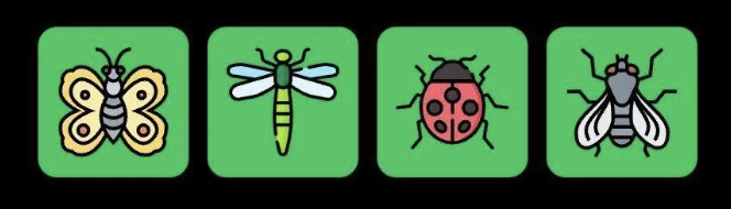 FLIES Daily Combo 19 December 2025