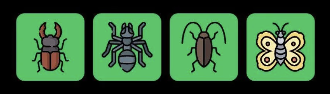 FLIES Daily Combo 20 December 2025