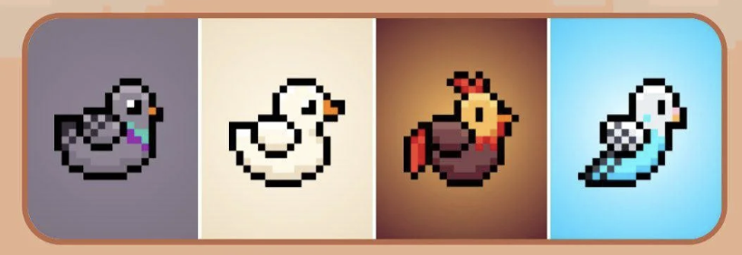 BIRD Daily Combo 21 December 2025