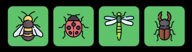 FLIES Daily Combo 21 December 2025