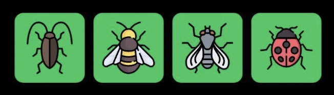 FLIES Daily Combo 22 December 2025