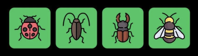 FLIES Daily Combo 23 December 2025