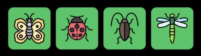 FLIES Daily Combo 24 December 2025