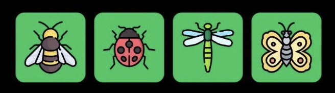 FLIES Daily Combo 25 December 2025