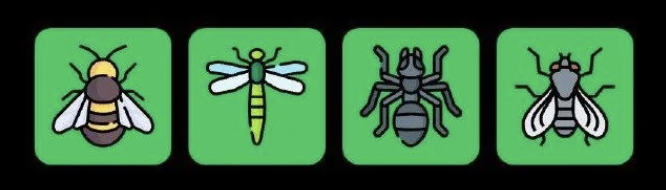 Screenshot 2025-12-28 at 10.12.18 AM FLIES Daily Combo 28 December 2025