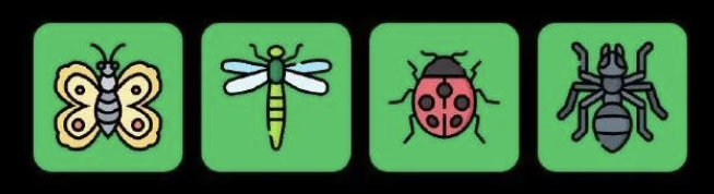 FLIES Daily Combo 29 December 2025