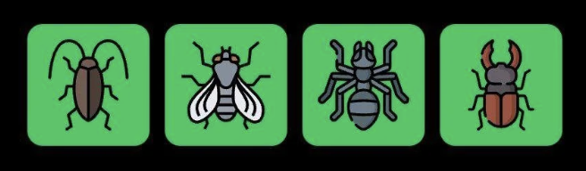 FLIES Daily Combo 31 December 2025