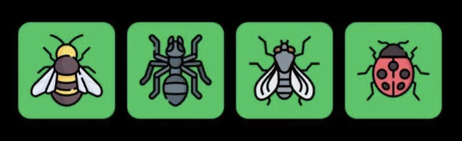 Screenshot 2026-01-03 at 3.15.13 PM FLIES Daily Combo 3 January 2026