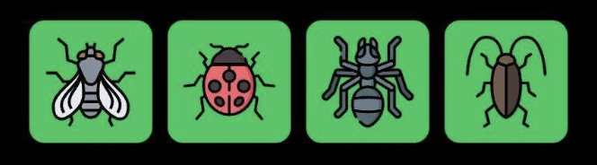 Screenshot 2026-01-04 at 4.05.58 PM FLIES Daily Combo 4 January 2026