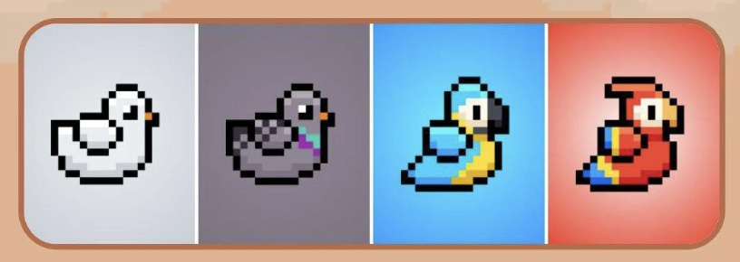 BIRD Daily Combo 6 January 2026