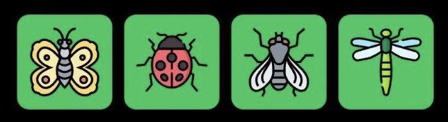 Screenshot 2026-01-06 at 11.36.43 AM FLIES Daily Combo 6 January 2026