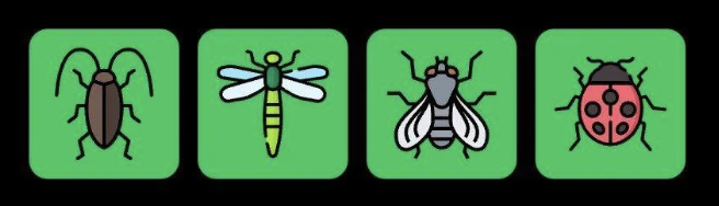 FLIES Daily Combo 7 January 2026