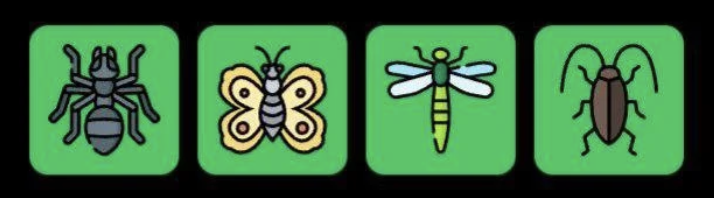 Screenshot 2026-01-08 at 11.29.39 AM FLIES Daily Combo 8 January 2026