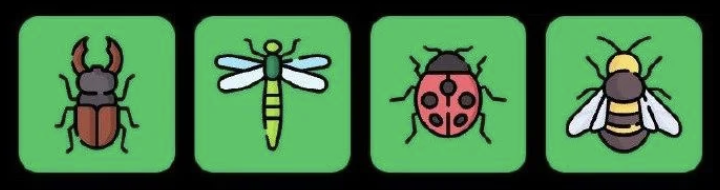 FLIES Daily Combo 9 January 2026