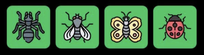 FLIES Daily Combo 12 January 2026