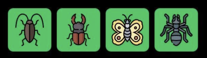 FLIES Daily Combo 13 January 2026