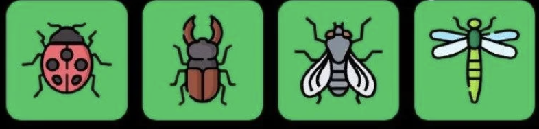 Screenshot 2026-01-14 at 11628 PM FLIES Daily Combo 14 January 2026