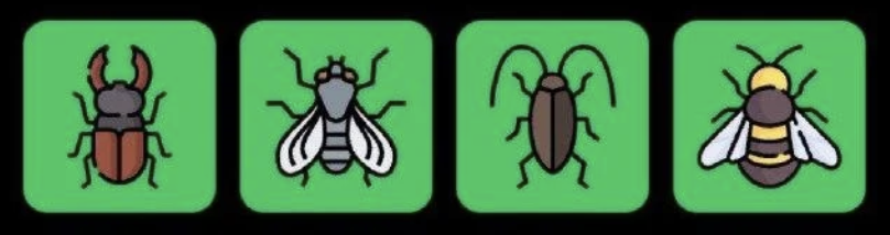 FLIES Daily Combo 17 January 2026