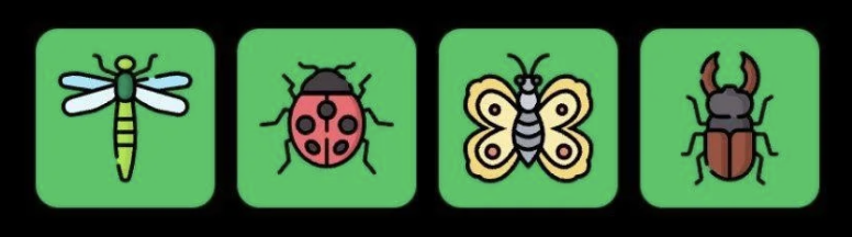 FLIES Daily Combo 19 January 2026