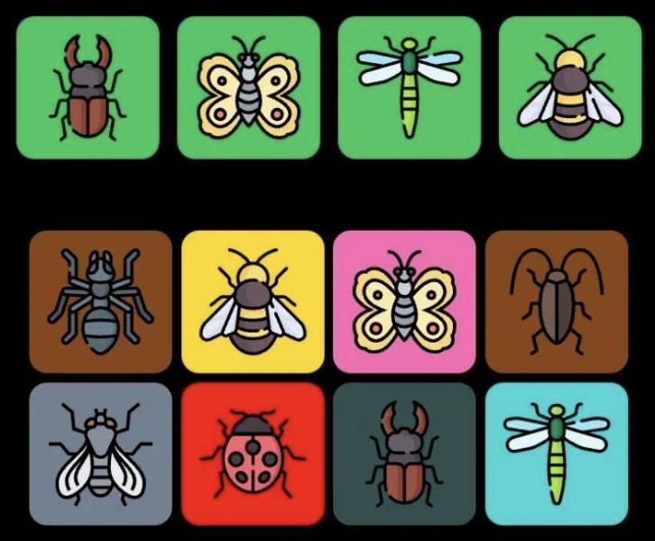 FLIES Daily Combo 21 January 2026